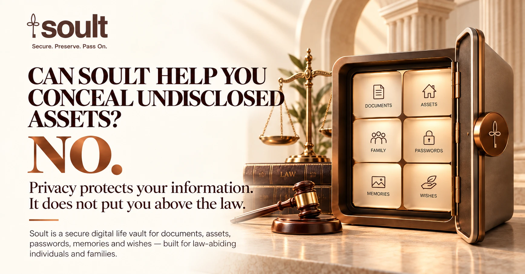 Can Soult Help You Conceal Undisclosed Assets?